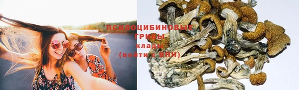 спайс Болохово