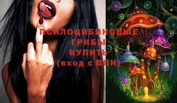 гашик Кинешма