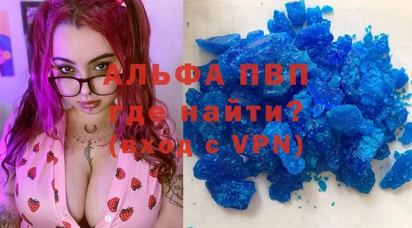 стаф Болхов