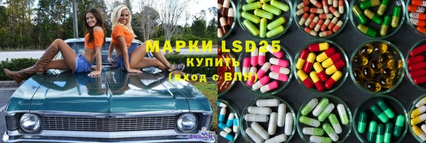 стаф Болхов