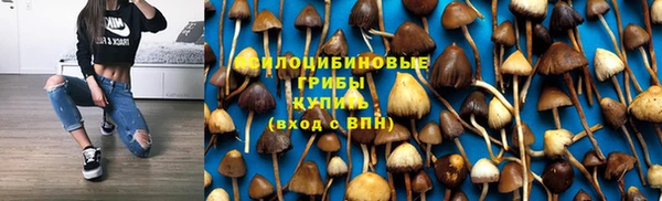 стаф Болхов